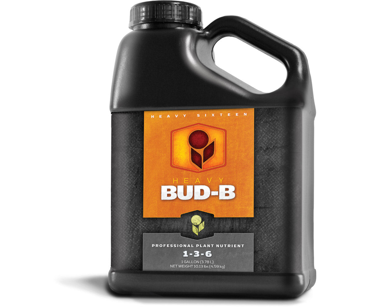 Bud B Gallon-Gallon
