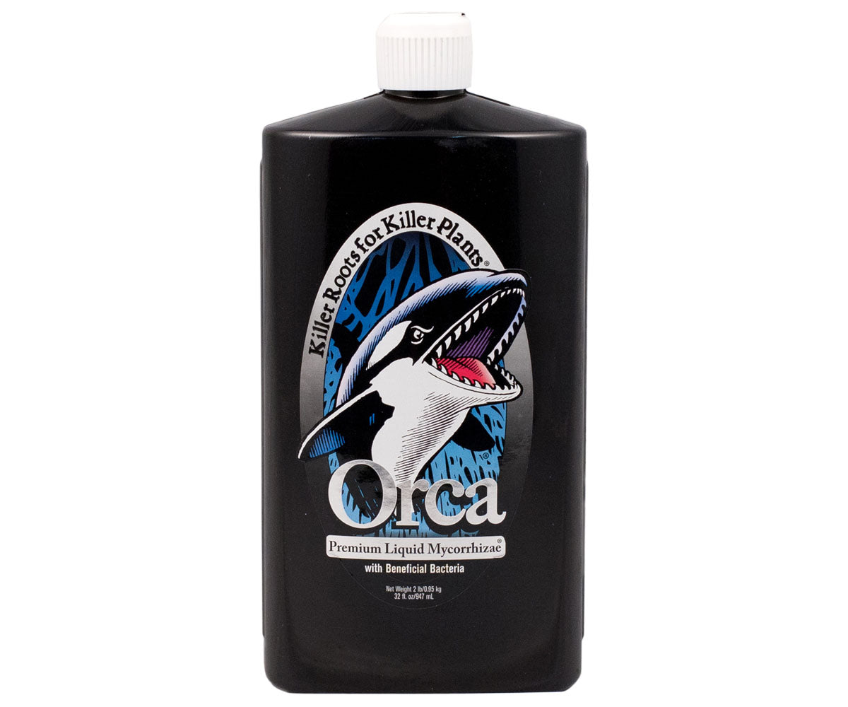 Orca Quart