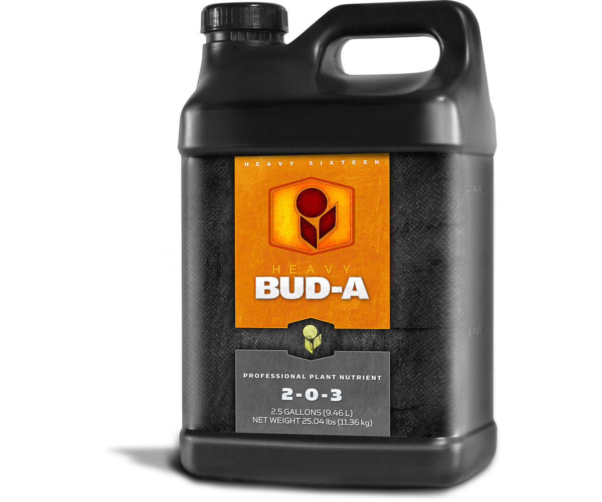 Bud A 2.5 Gallon-2.5 Gallon