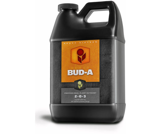 Bud A 32oz-32oz