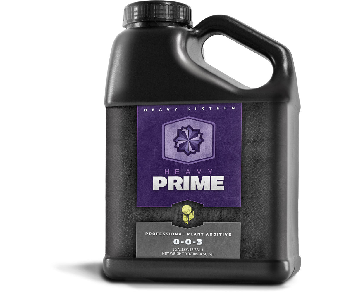 Prime Gallon-Gallon