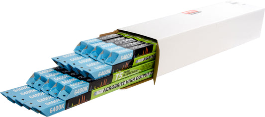 Agrobright 2' T5